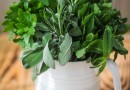 Herbs-1-2 Herbs-1-2