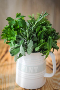 Herbs-1-2 Herbs-1-2
