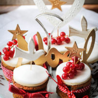 Mini Christmas Cakes