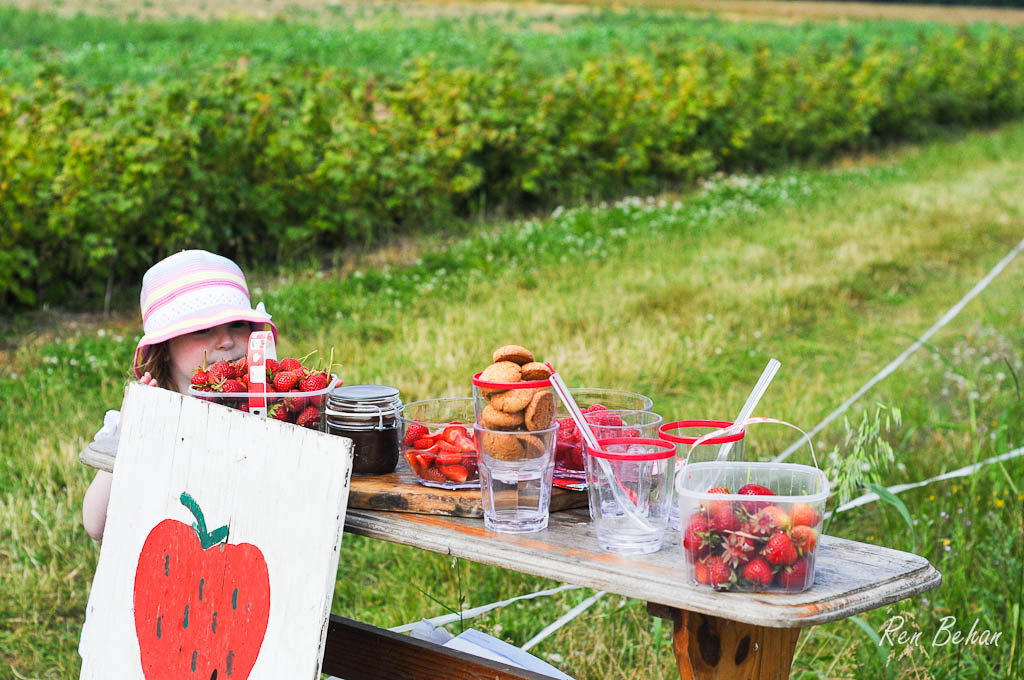 Latest Video: Strawberry Picking and Summer Fruit Treats