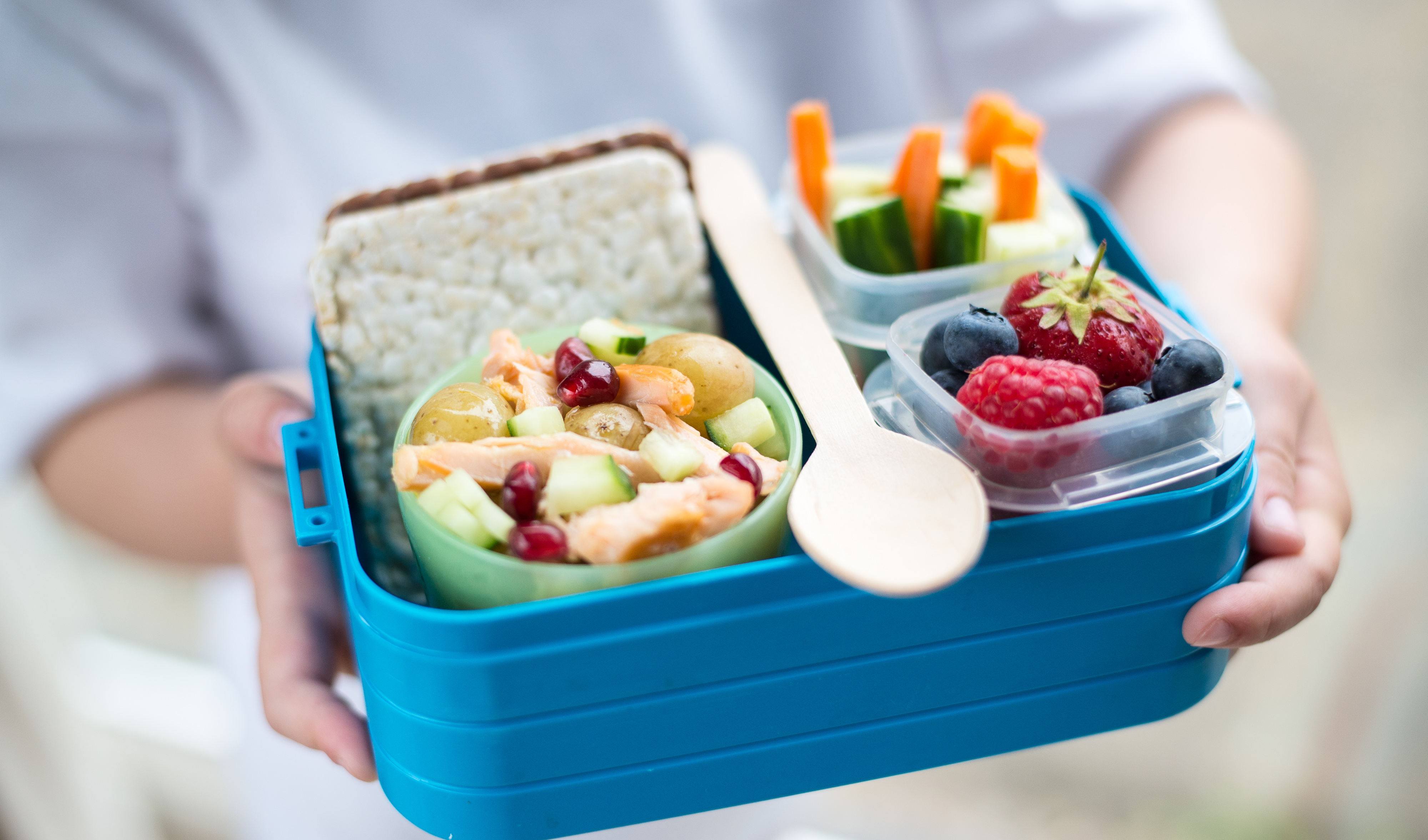 Pink Lining Lunch Box
