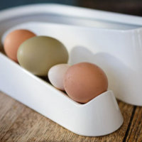 Giveaway – Omlet Kitchen Accessories RRP £50