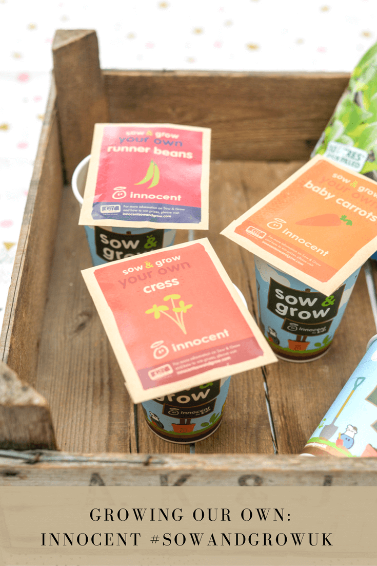 Grow Your Own Food – Sow and Grow with innocent – Getting Started